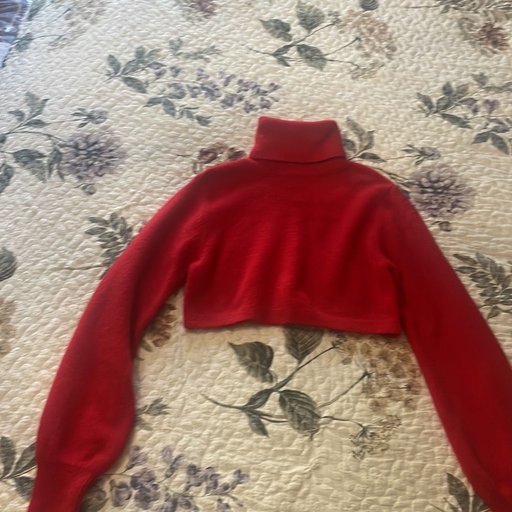 Red crop sweater with turtle neck and long sleeves